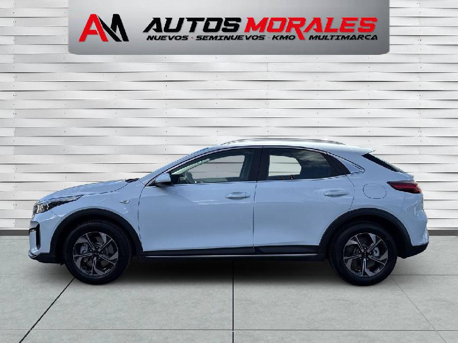 KIA XCEED DRIVE GASOLINA