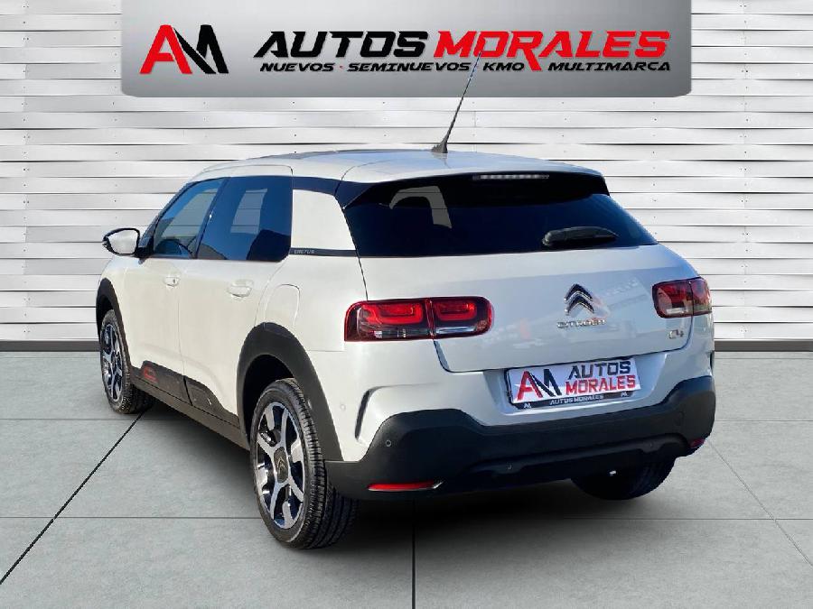 CITROEN C4 CACTUS SHINE GASOLINA