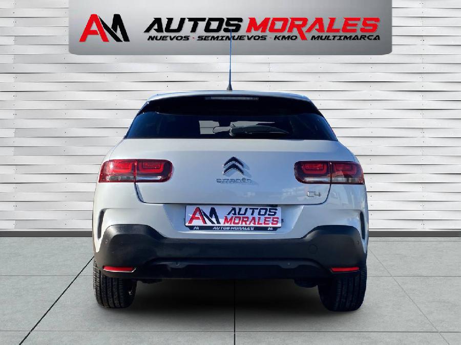 CITROEN C4 CACTUS SHINE GASOLINA