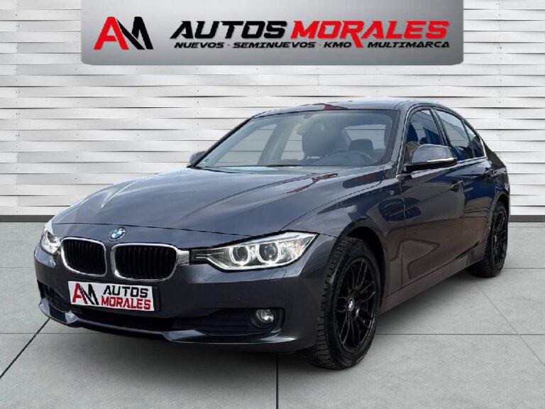 BMW 318D 07