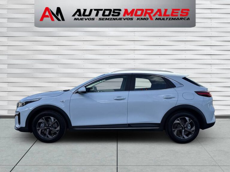 kia xceed drive 8216