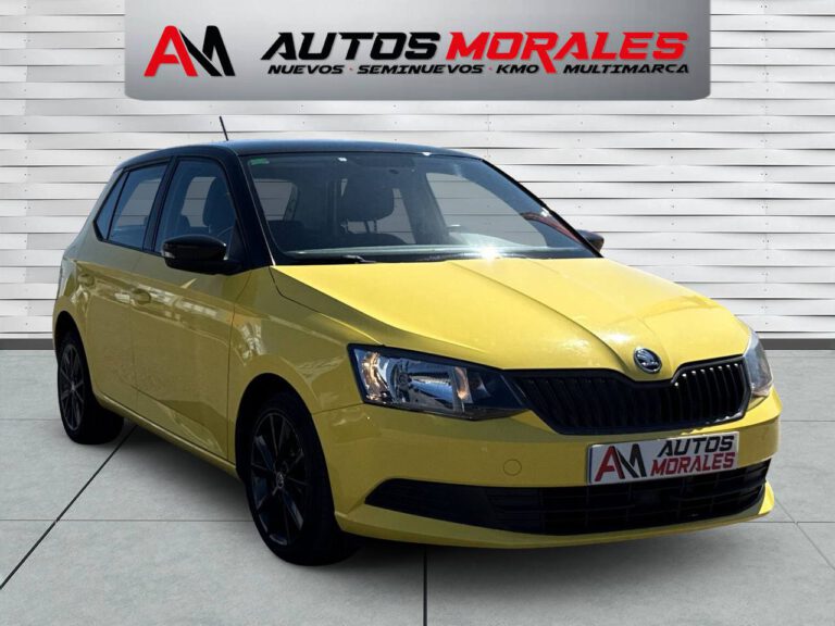 skoda fabia ambition 5652