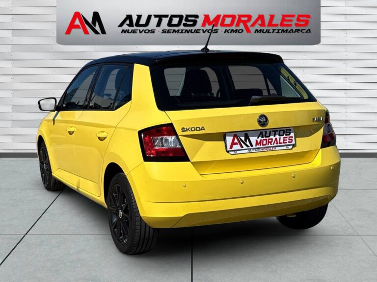 skoda fabia ambition 9619