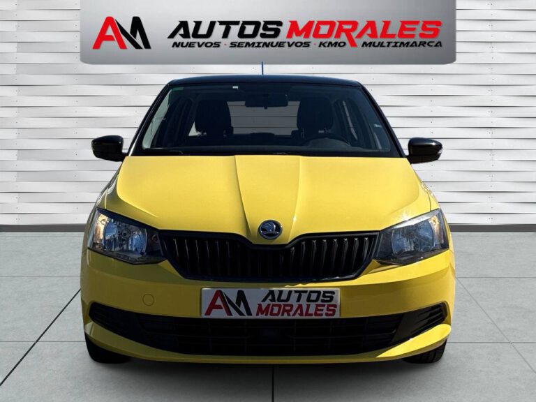skoda fabia ambition 9677