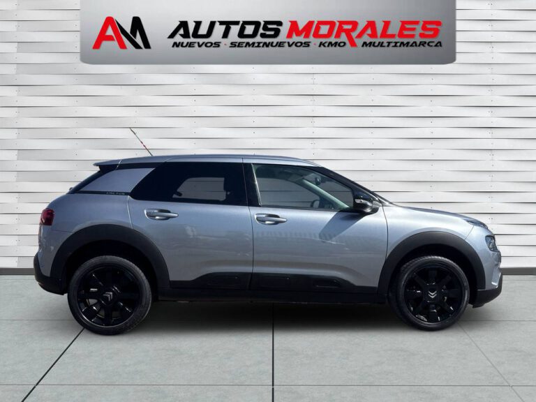 citroen c4 cactus shine 8008