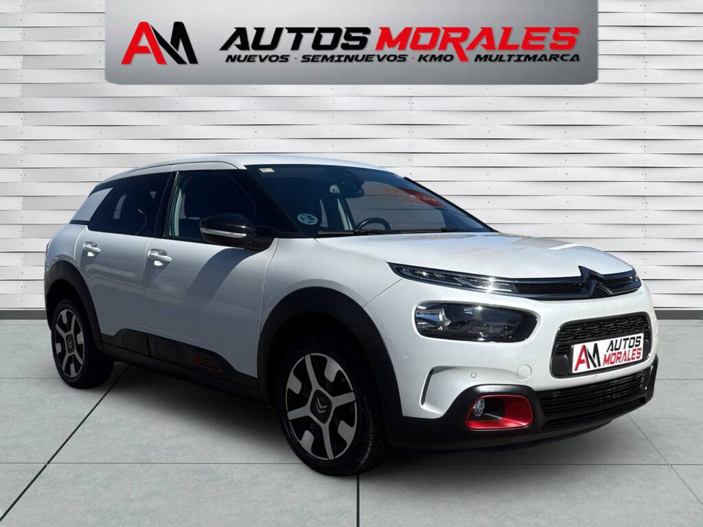 citroen c4 cactus shine 1110