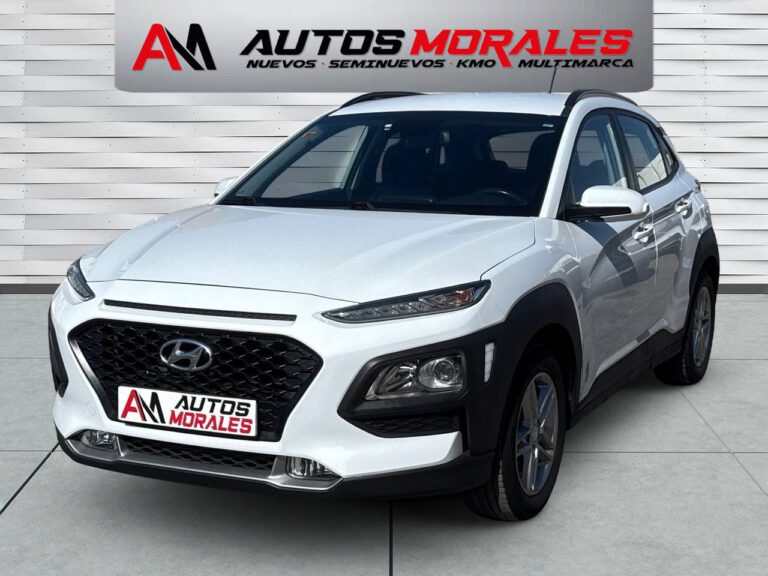 hyundai kona klass 1038